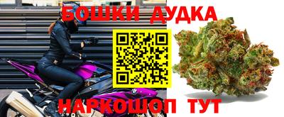 каннабис Кингисепп